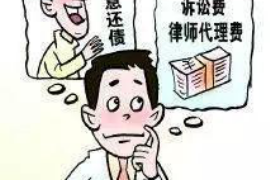 南城融资清欠服务